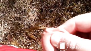 cumshot in the Wood