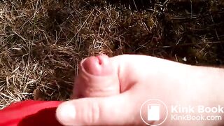 cumshot in the Wood