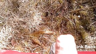 cumshot in the Wood