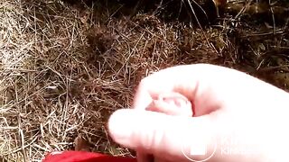 cumshot in the Wood