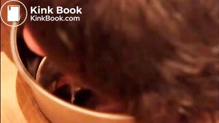 Twink eats his shit from a bowl