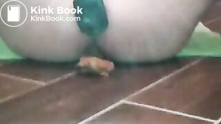 shitfuck session - part 2