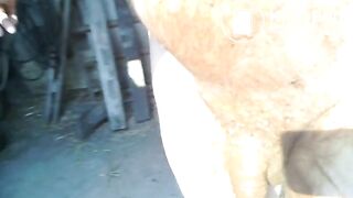 20130706_001