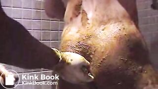 lovely gay scat fisting