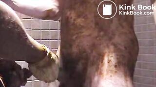 lovely gay scat fisting