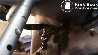 Sloppy Shit nasty shit feed