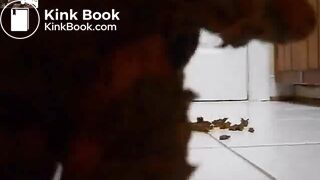 Scat - Jeans, Socks, Shit - Scheisse