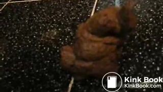 scat and fart guy in the bathroom