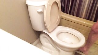 Face in Toilet with Shit