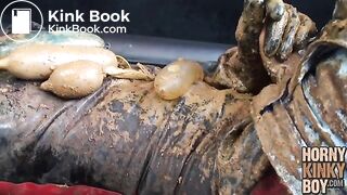 HornyKinkyBoy, the Excrement Pig