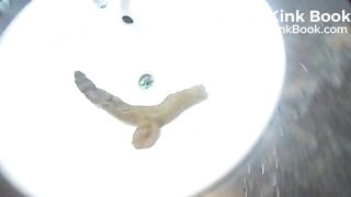 MAURITIUS WURST 07022014