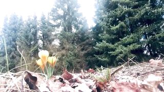 was asked to pee on the yellow flowers - it was windy
