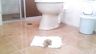 20160810_154050