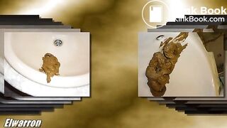 Cagando en el lavabo