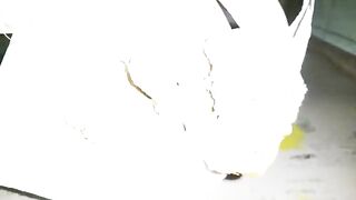 2017-03-09 102022