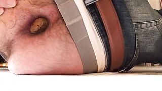wwwgayscatpigscom