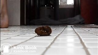 2XFußbodenscat und Eimerentleerung