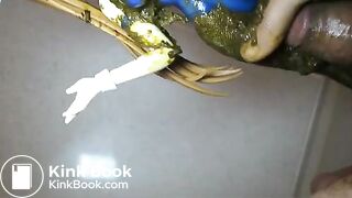 269_nanoha US151015