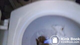 Toilet Poop 3262018