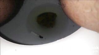 Good Morning Poop 4302018