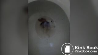 Toilet Dump 542018