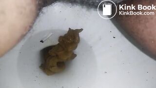 Good Morning Poop 4272018