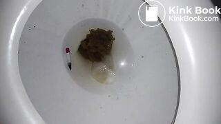 Toilet Poop 4252018