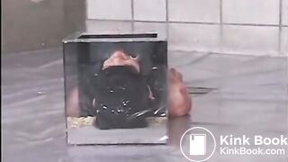 3 Japanese Beauties Vomit in Slaves Mouth