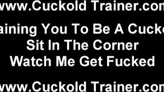 Cuckold Humiation And Female Domination Porn