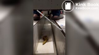 Beautiful women pooping in the toilet 54