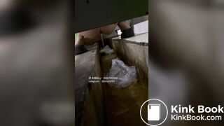 Beautiful women pooping in the toilet 73