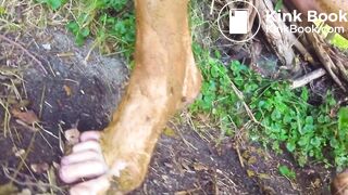 Kinky naked hike in the woods