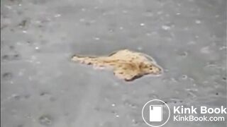 PSG - Sandra public pants mess #2