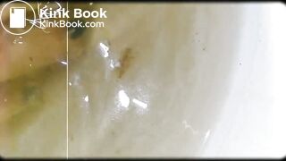 (2022) Smores (Unfinished Project)