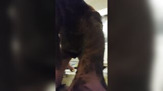 Shit smearing all over me