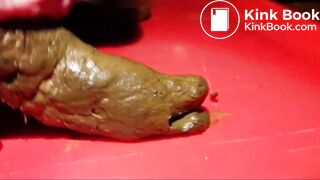 Décharge fécale, dégustation, inspiration, masturbation et éjaculation scato