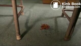 Naughty Japan Schoolgirls - Scat lesson