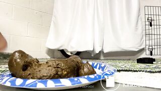 PulsiferPaprocki rock solid log