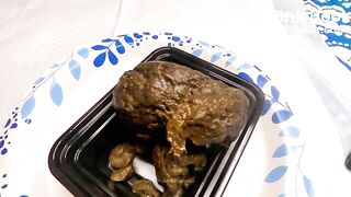 PulsiferPaprocki packed lunch