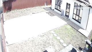 Busty Teen Caught Sucking BF's Cock Outdoors!