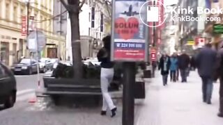 DGP - Sharka public wet diaper & pants