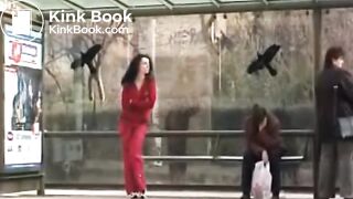 DGP - Sharka wets diapers in public #1