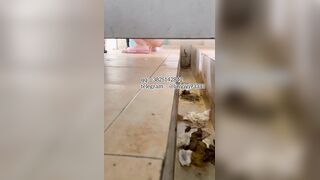 Beautiful girl poops in the toilet 17