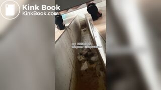 Beautiful girl poops in the toilet 17