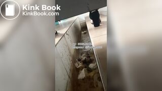 Beautiful girl poops in the toilet 17