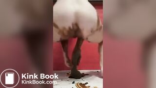 Messy dildo solo scat fuck