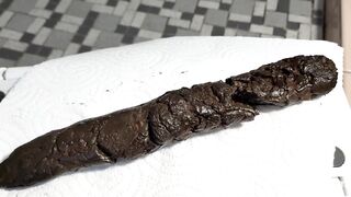 Max Grogan Huge Turd 07 (2 Angles)