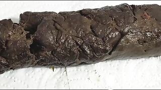 Max Grogan Huge Turd 07 (2 Angles)