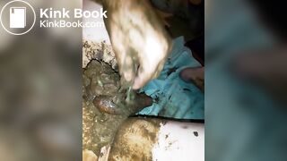 dogshiteating