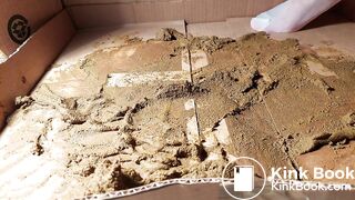 asian acid her shitty pantyhose